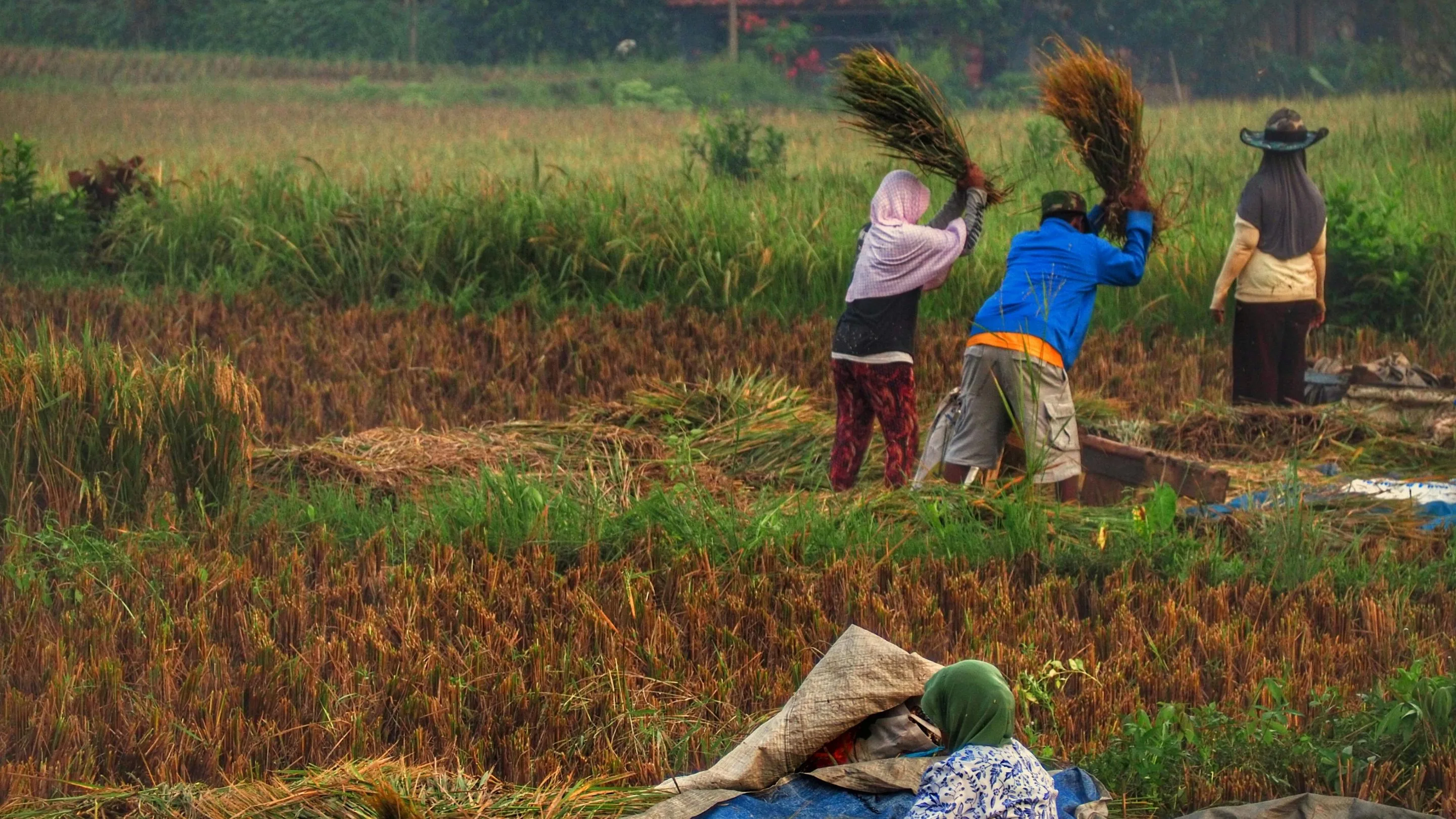 Garut Masuk Daftar Daerah dengan Pekerja Informal Terbanyak di Jabar