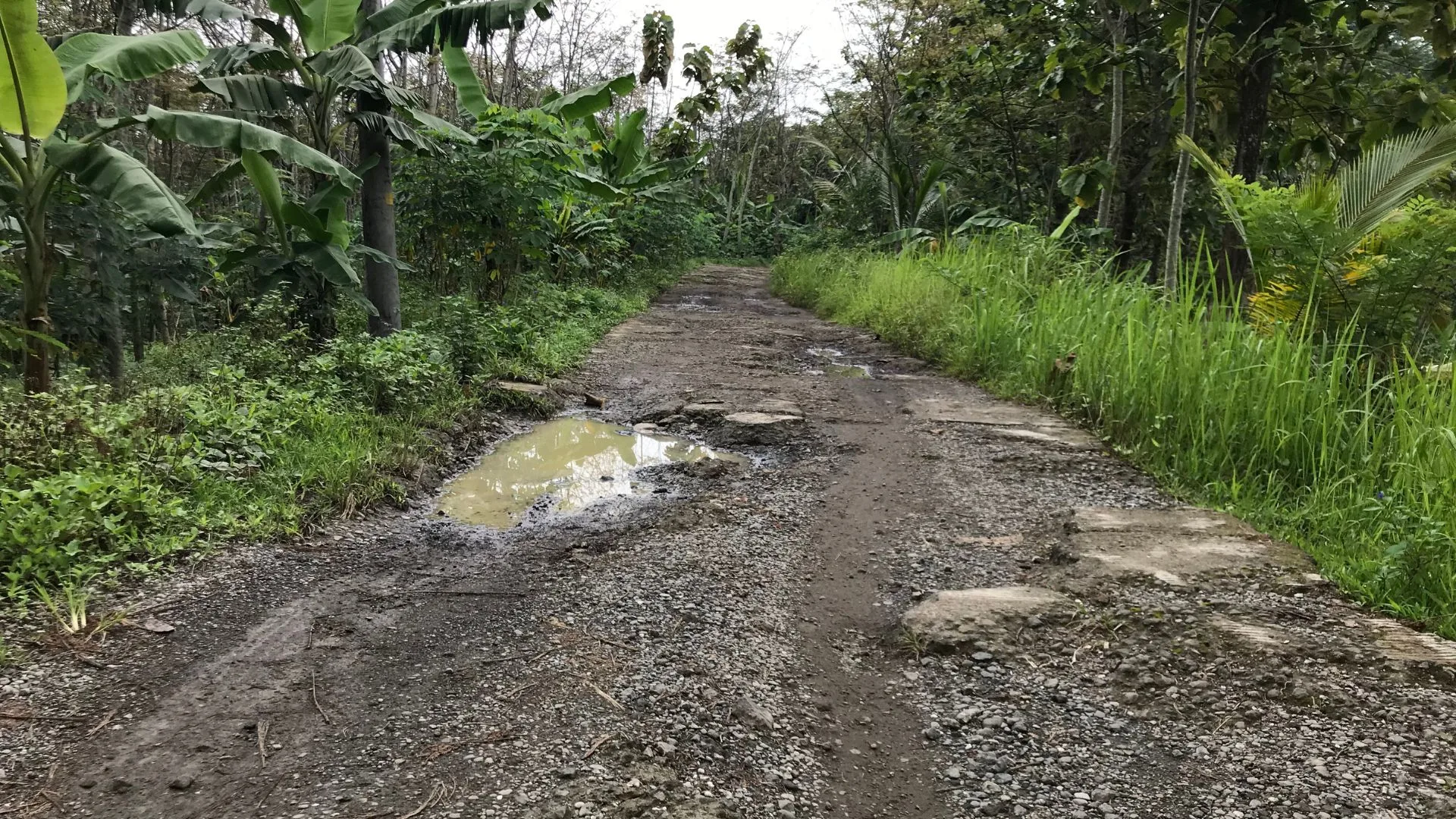 Ada Keluhan atau Aspirasi? Warga Garut Bisa Sampaikan Lewat Fitur Lapor di SAGARUT