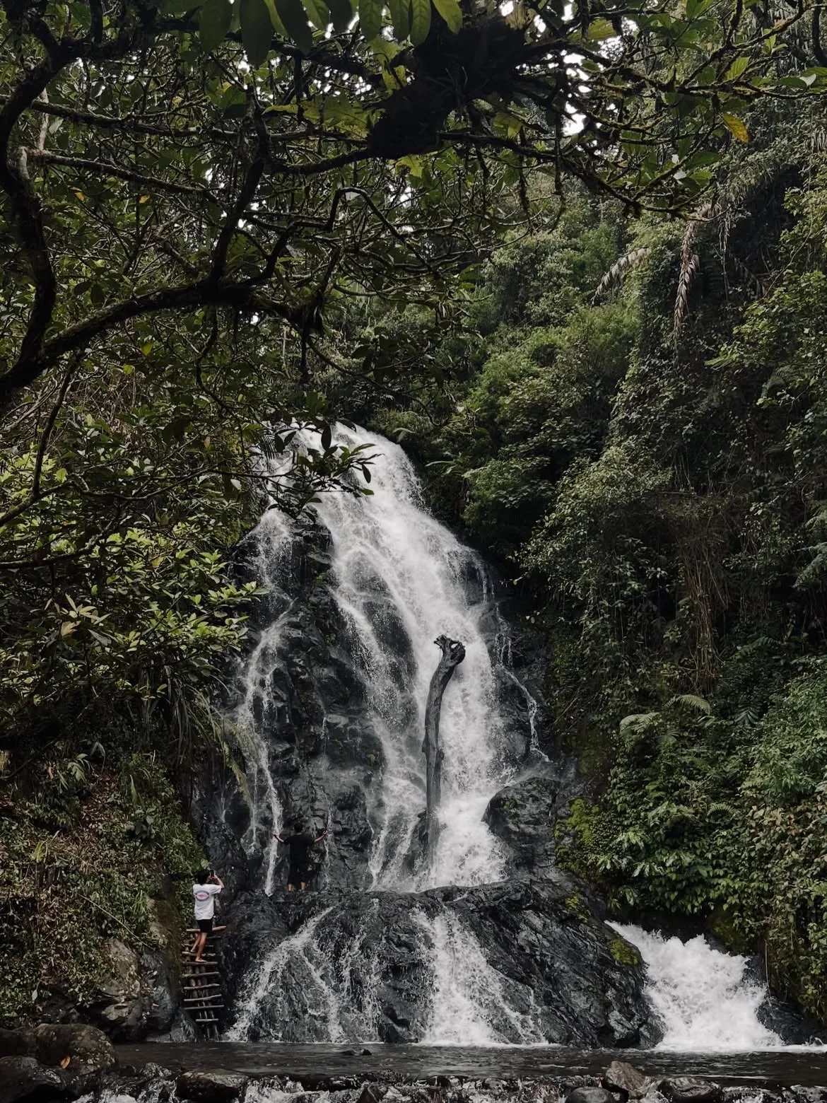 3 Curug di Garut yang Masih Asri, Cocok untuk Menikmati Alam