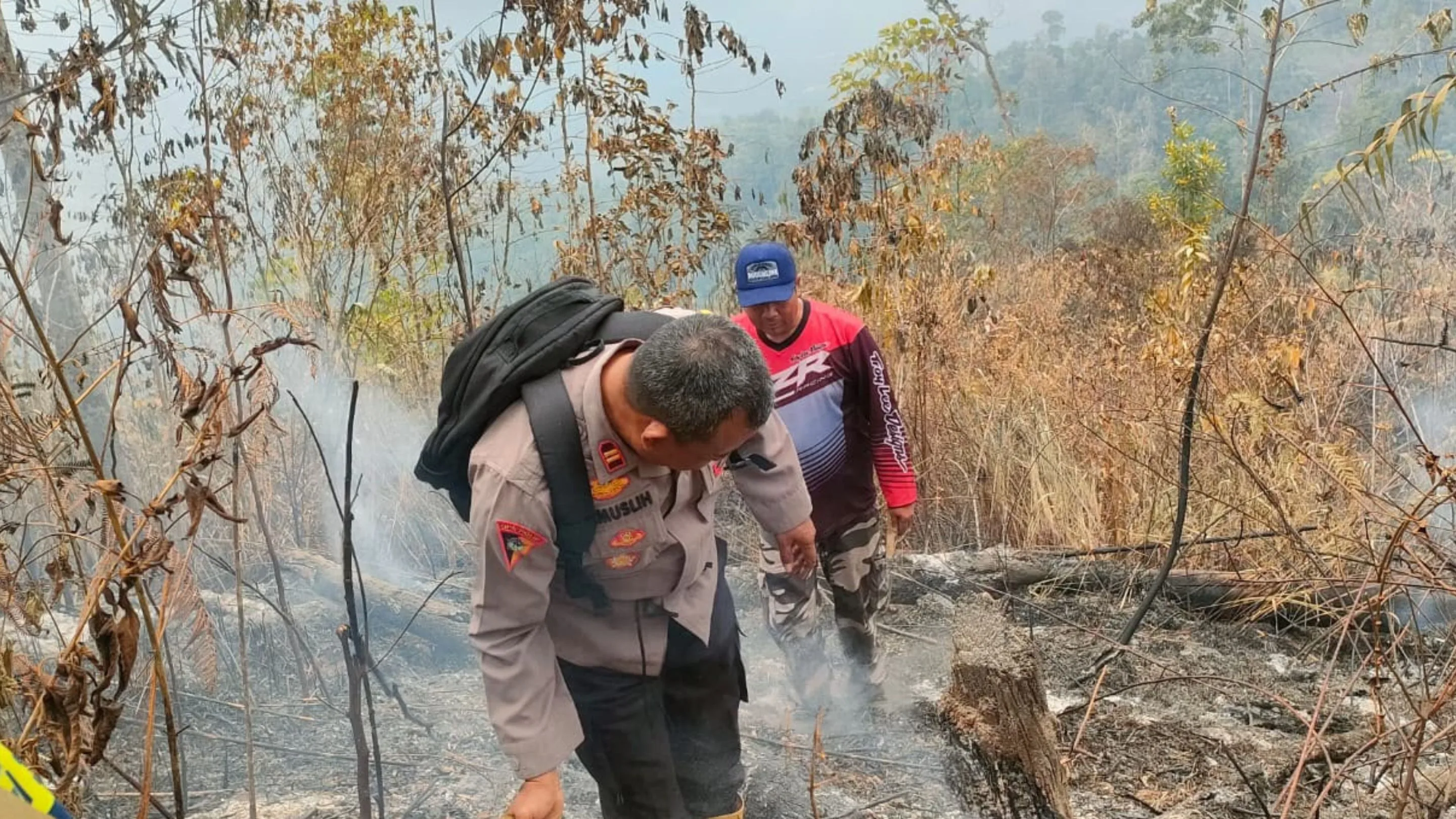 1 Hektare Lahan Perhutani di Pakenjeng Garut Terbakar, Petugas dan Warga Padamkan Api Secara Manual