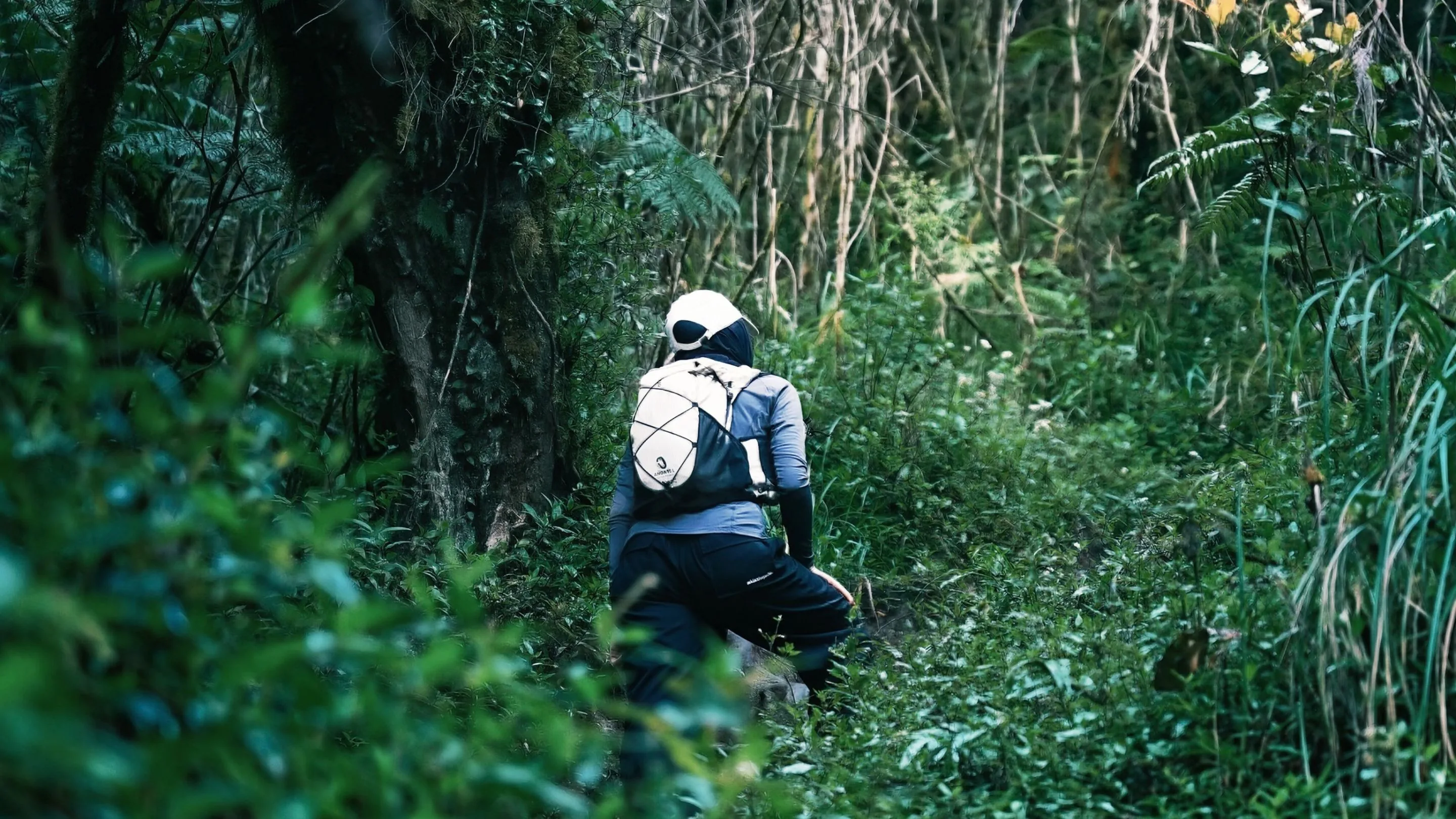 Tips Tektok Gunung Cikuray Garut, Cukup Pakai Daypack Ukuran 20 Liter