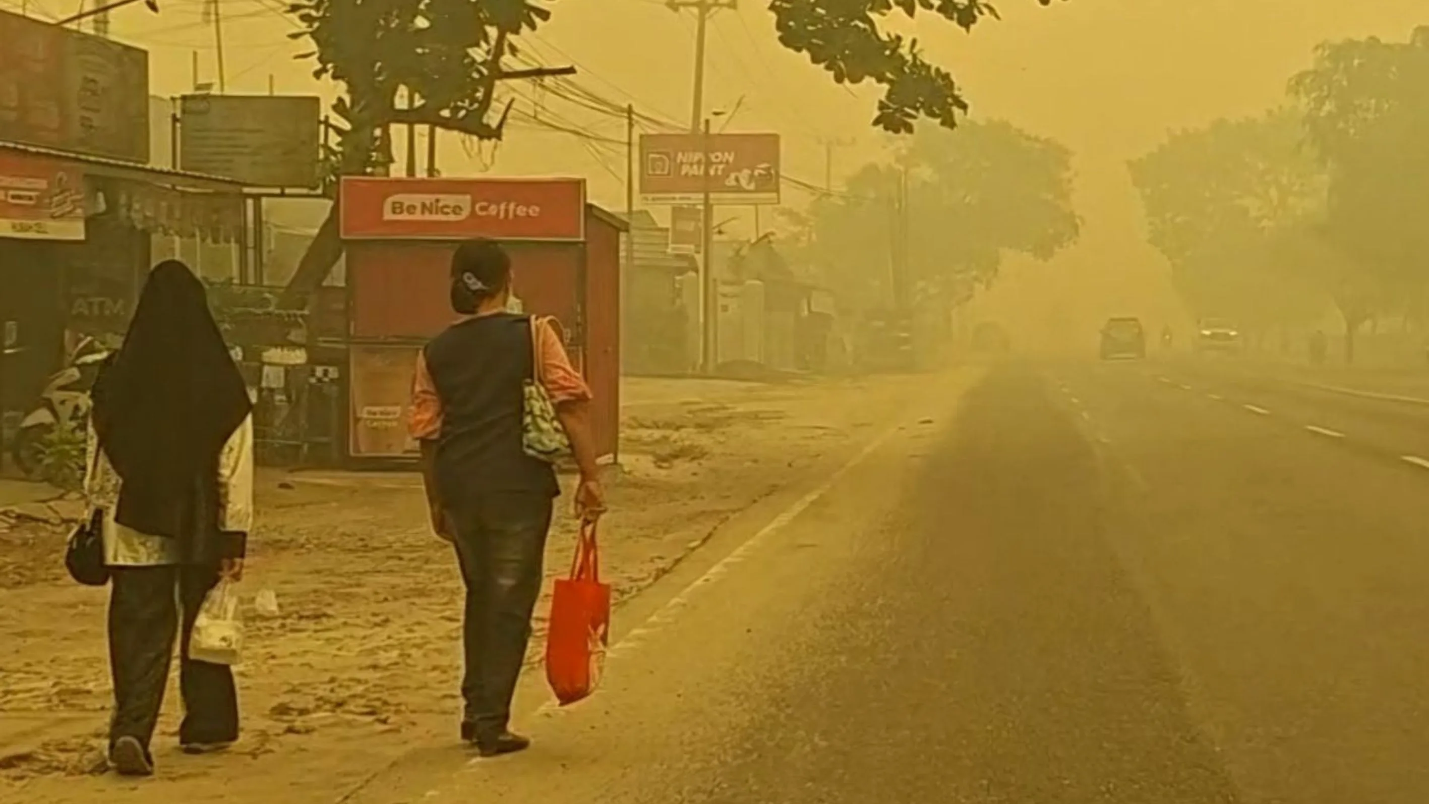 314 Ribu Kasus ISPA, Dampak Kebakaran Hutan Juga Ancam Satwa Liar