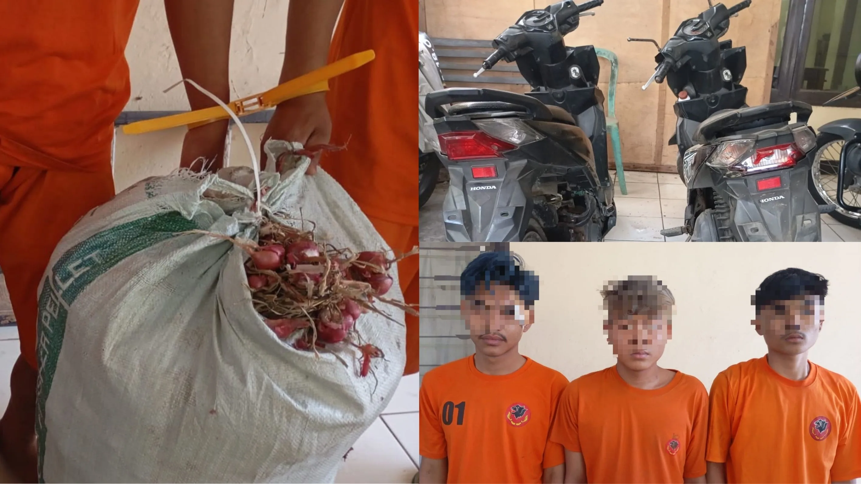 8 Kali Curi Bawang Merah, 3 Pemuda Dibekuk Polisi di Wanaraja Garut