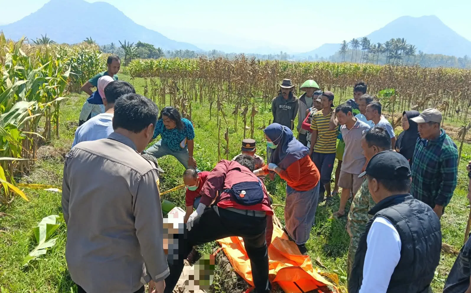 Warga Temukan Lansia 88 Tahun Meninggal Dunia di Kebun Jagung Leles Garut
