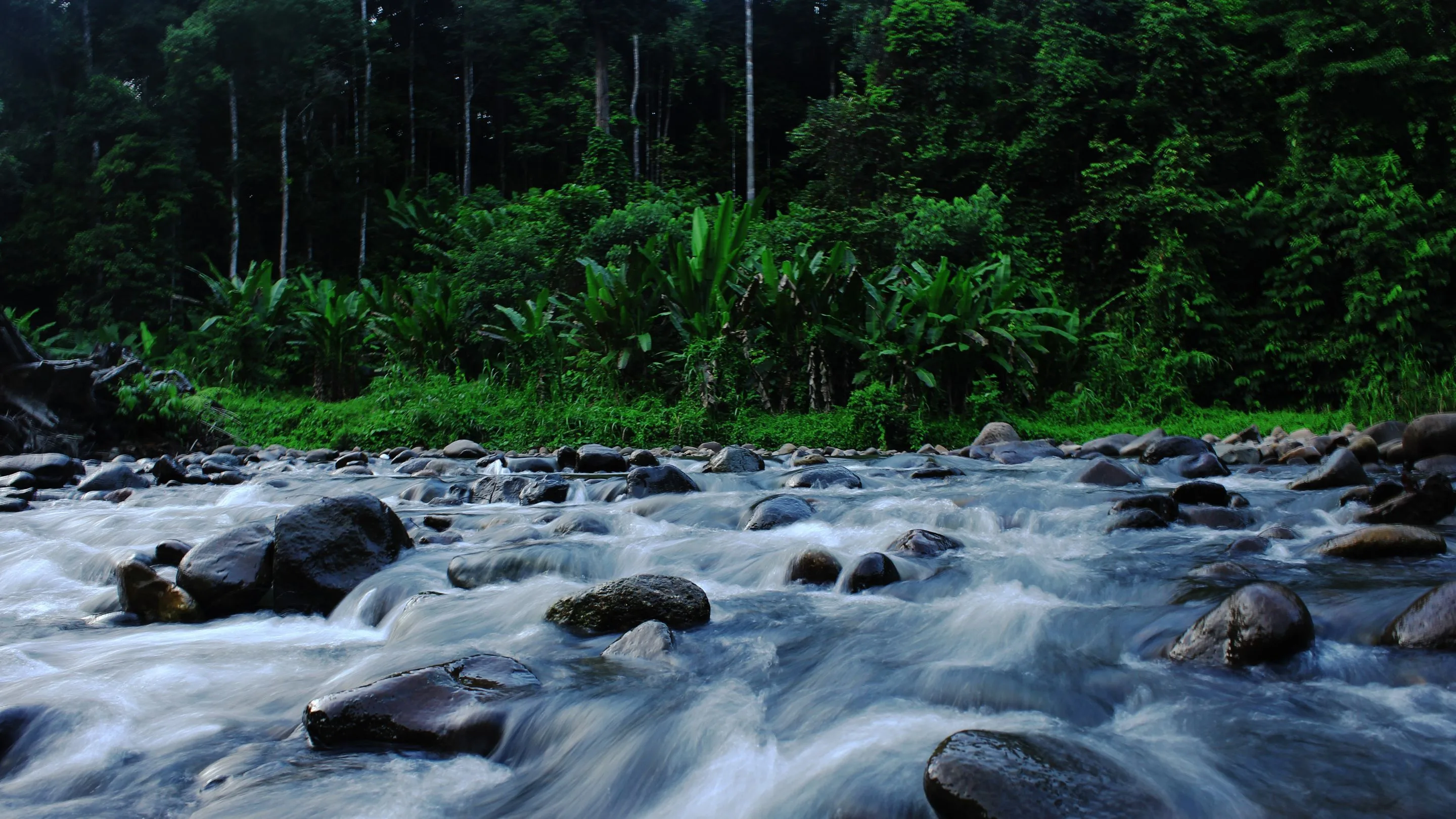 27 Juli Jadi Pengingat Penting Lewat Peringatan Hari Sungai Nasional