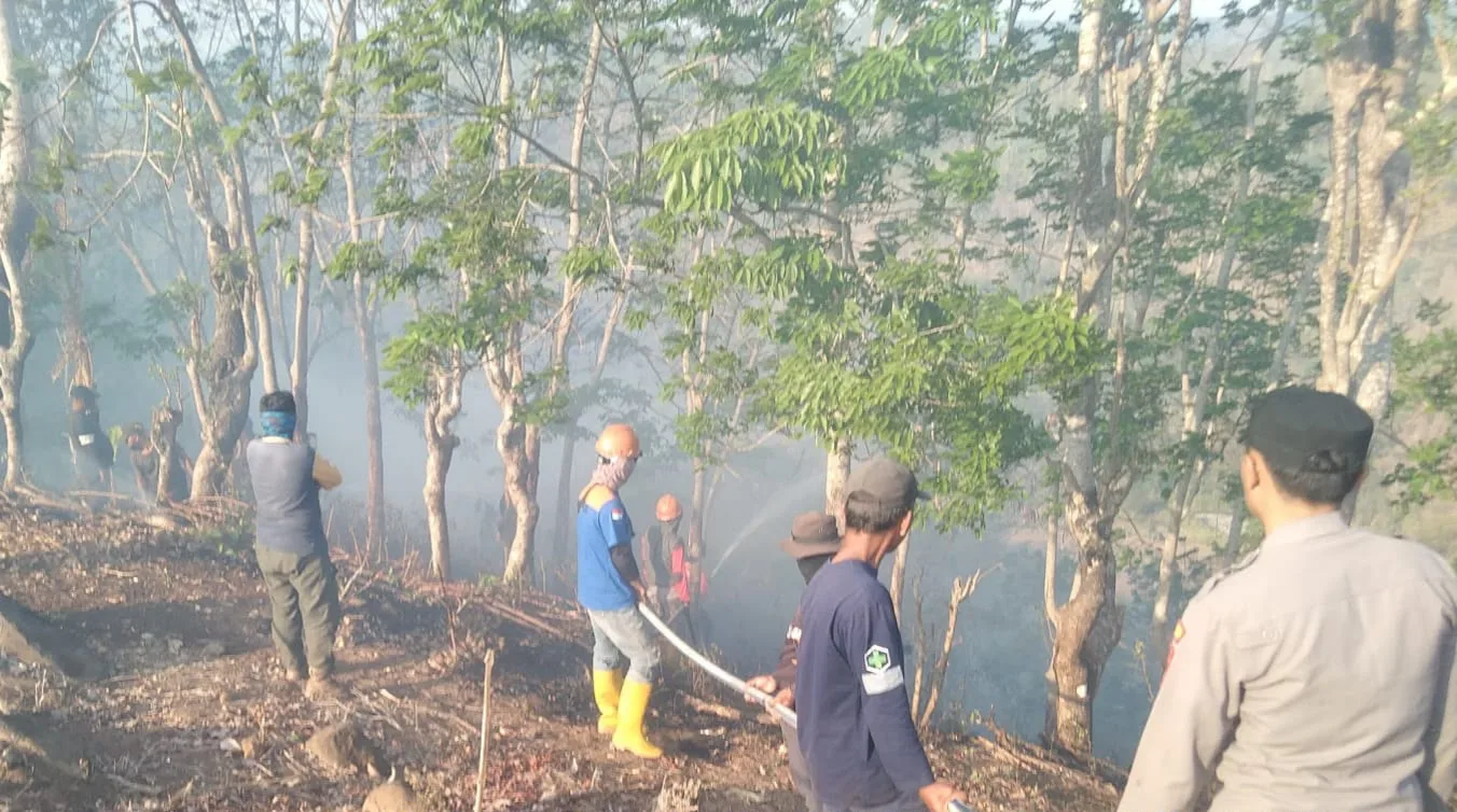 5 Hektare Lahan Milik Warga Terbakar di Pasir Gambir Cikelet Garut
