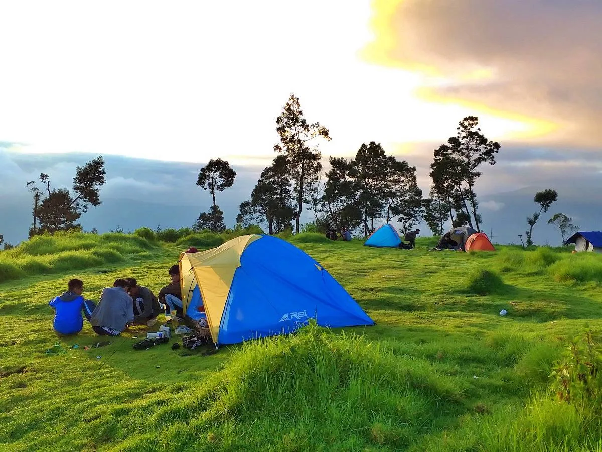 Pengalaman Berbeda, Event Suara Guntur Sajikan Konser di Tengah Alam Garut yang Menawan