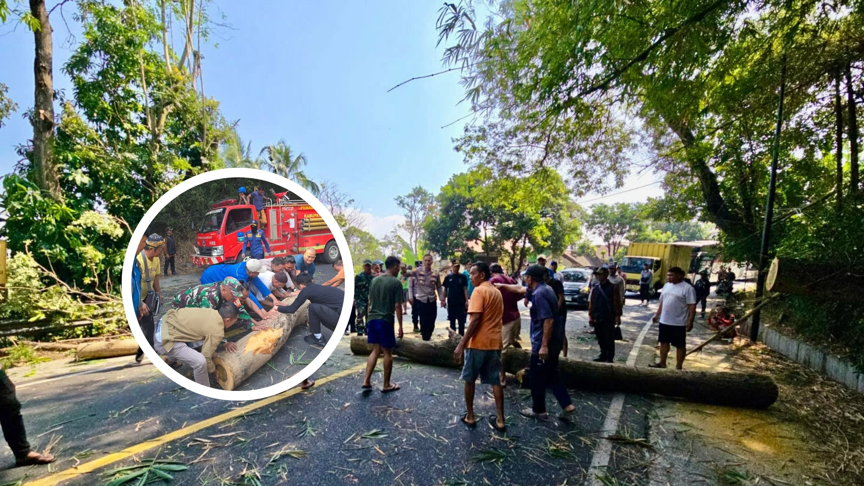 Pohon Tumbang di Kersamanah, Jalur Nasional Bandung-Garut Sempat Lumpuh