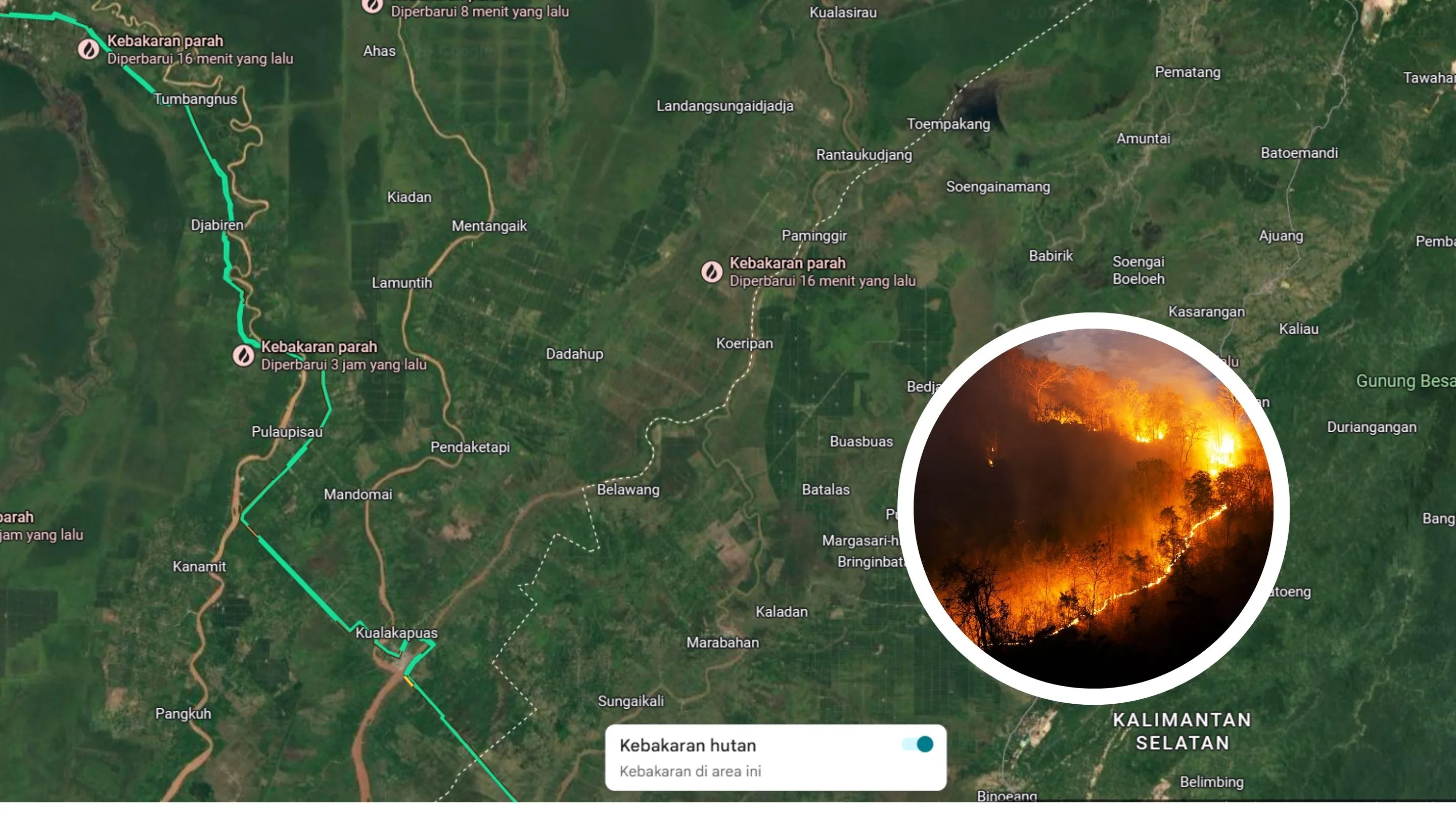 Dampak Karhutla Meluas, Cek Titik Kebakaran Hutan Kalimantan di Maps