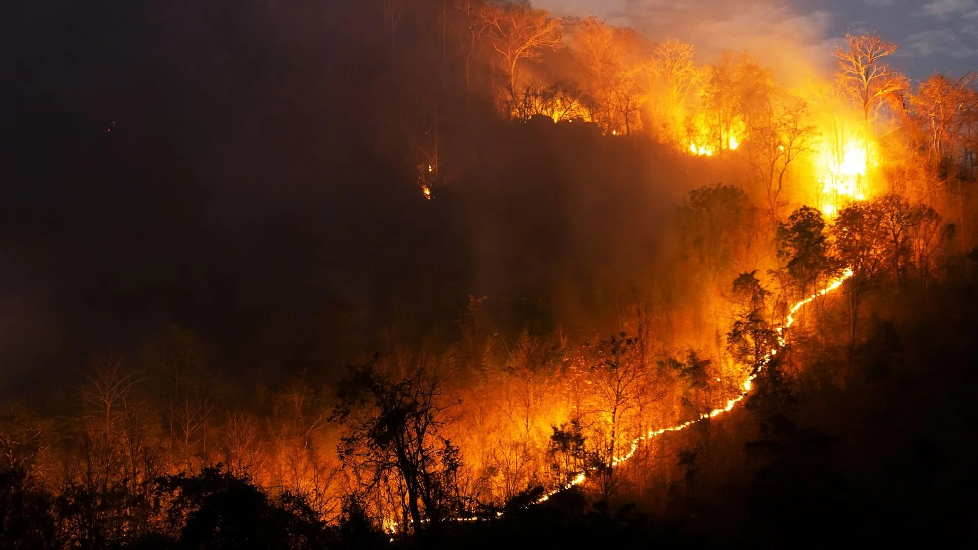 Kemenhut Atur Status Pendakian Gunung demi Cegah Kebakaran Hutan