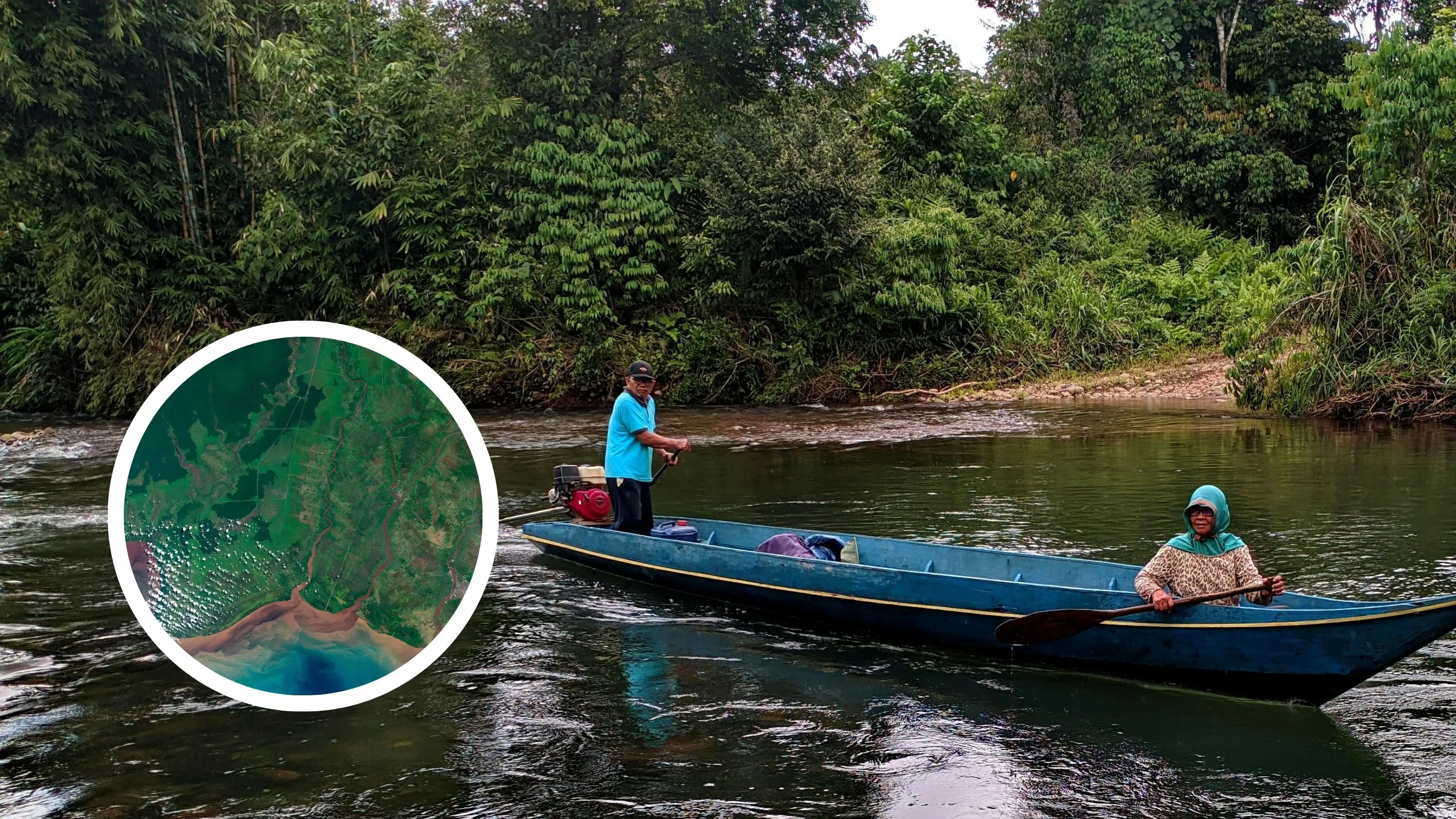 Citra Landsat 7, Potret Hutan Kalimantan dan Kebun Sawit Tahun 2000